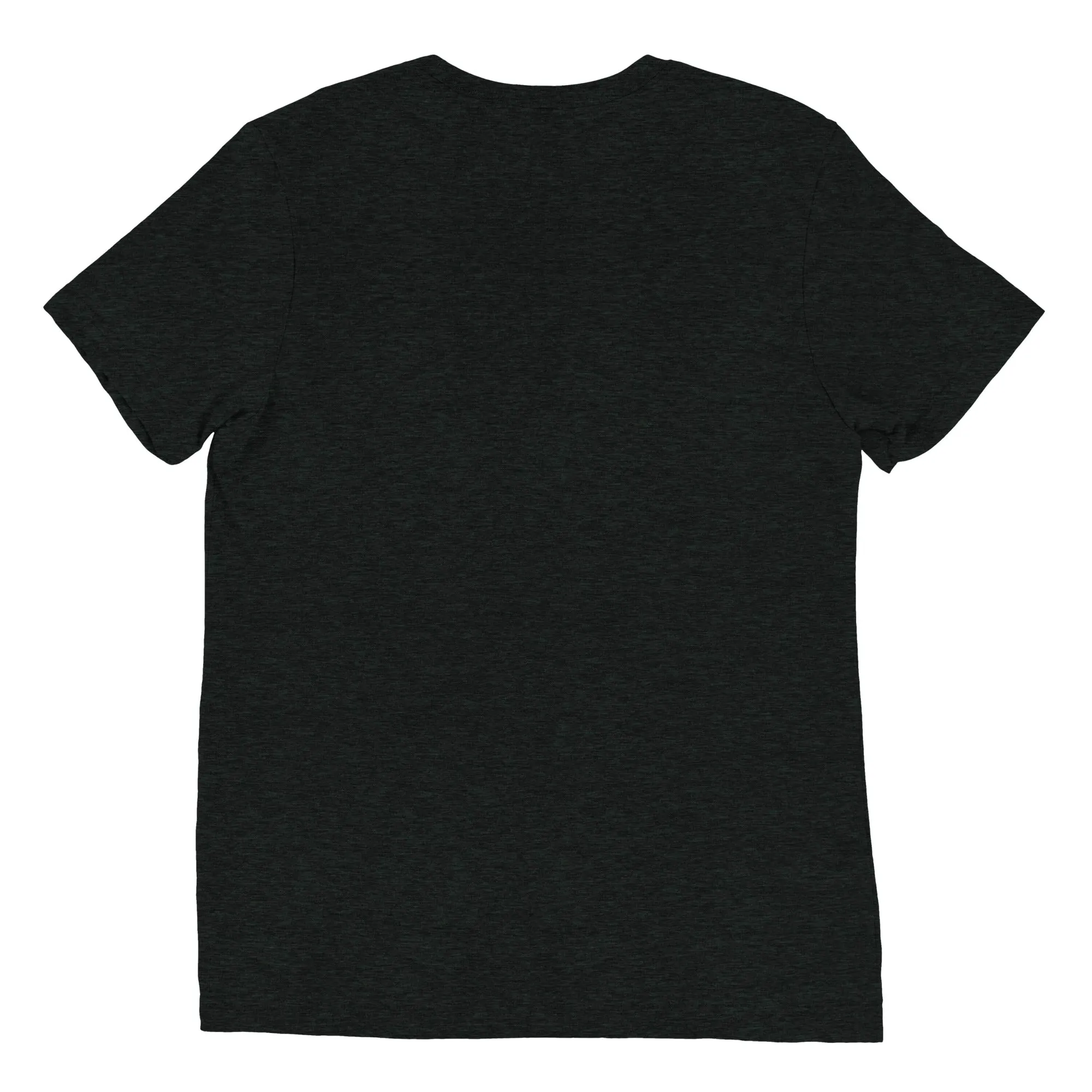 CCSU Lady Hooligans Triblend T-Shirt